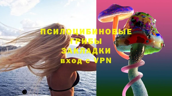 ПСИЛОЦИБИНОВЫЕ ГРИБЫ Бабаево