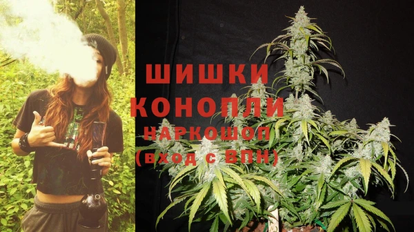 ПСИЛОЦИБИНОВЫЕ ГРИБЫ Бабаево