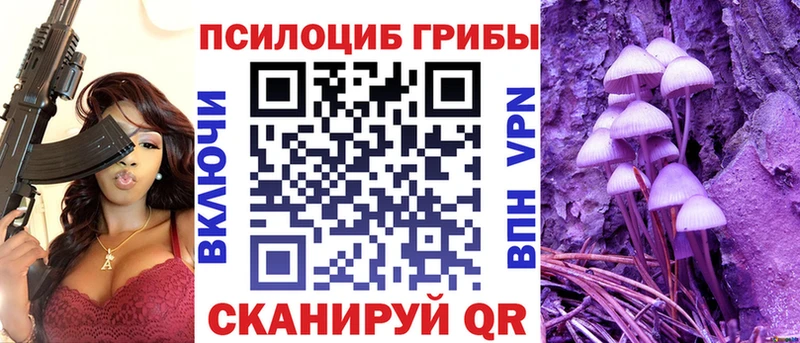продажа наркотиков  Канаш  MEGA вход  Псилоцибиновые грибы мицелий 