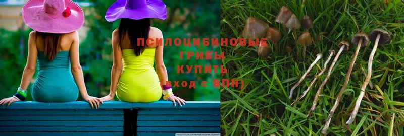 Галлюциногенные грибы Magic Shrooms  хочу наркоту  Канаш 