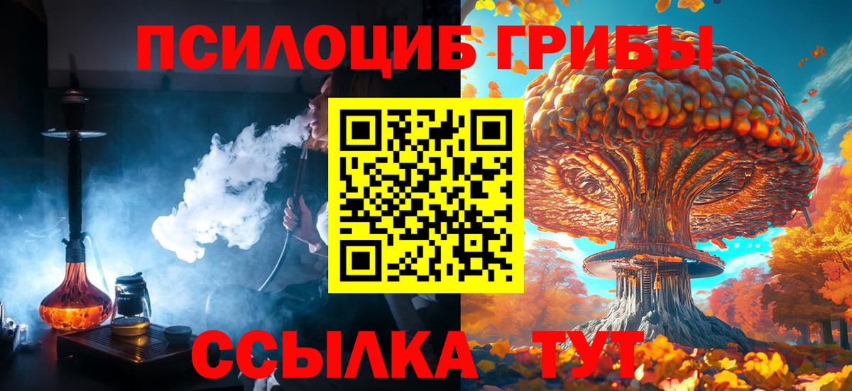 Канаш  Псилоцибиновые грибы Psilocybine cubensis  Вход с VPN 