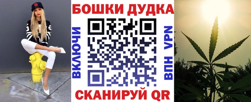 Бошки Шишки семена  хочу   KRAKEN   Канаш 